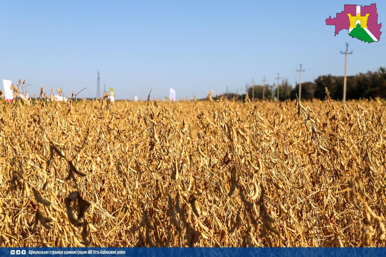Информация о регистрации зерна во ФГИС «Зерно»