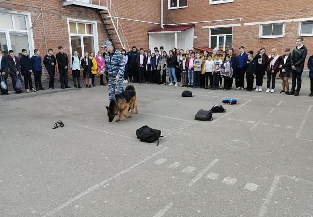 Служебные собаки побывали в гостях у школьников Усть-Лабинска