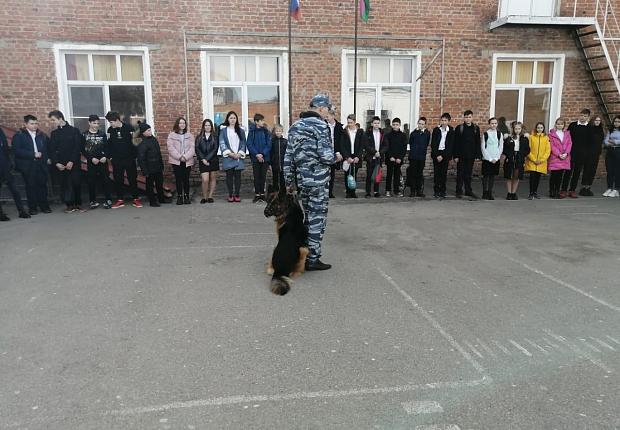 Служебные собаки побывали в гостях у школьников Усть-Лабинска