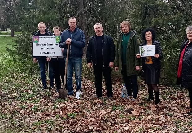 Жители Усть-Лабинского района присоединились к международной акции "Сады памяти"