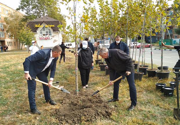 Борис Поликин высадил деревья в Усть-Лабинске